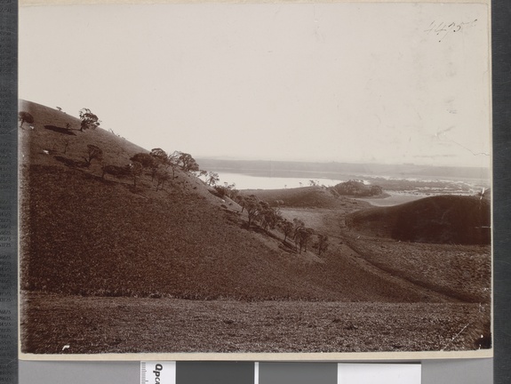 cc001564