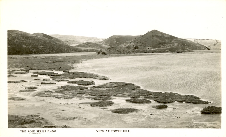 Tower Hill devoid of trees.jpg