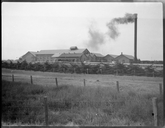 Landscapes in Dennington and Tower Hill area of Victoria. (3)