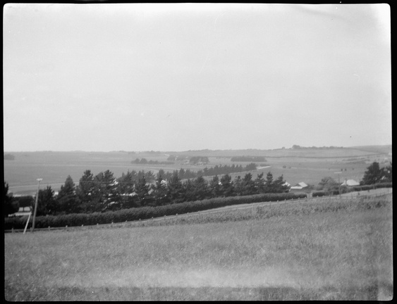 Landscapes in Dennington and Tower Hill area of Victoria. (7)