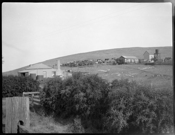 Landscapes in Dennington and Tower Hill area of Victoria.
